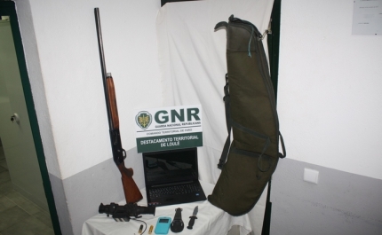 Recuperação de armas furtadas