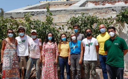 Portimão: Jovens voluntários do Just a Change vão dedicar as suas férias a reabilitar casas de pessoas desfavorecidas