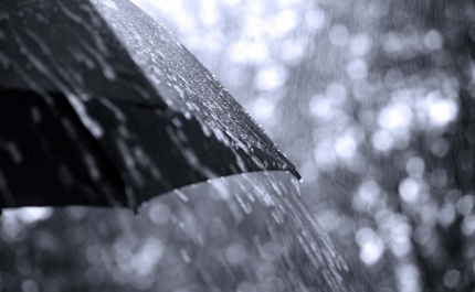 Dez distritos de Portugal continental sob aviso amarelo devido a chuva e trovoada