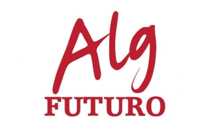 AlgFuturo | Pós- Cheias em Albufeira: Três Louvores, uma Censura e apelo para fundos perdidos para empresários