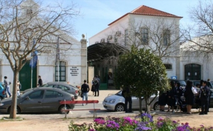 Estudantes de Turismo promovem evento solidário pela causa animal em Portimão