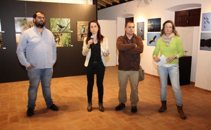 Exposição de fotografia revela a beleza da «Vida no Sapal de Castro Marim e VRSA»