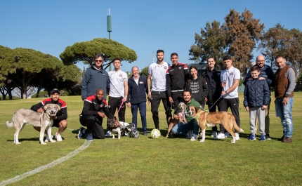 Louletano convida animais da Animal Rescue Algarve para Treino Especial [c/ fotogaleria]