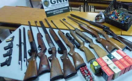 14 armas apreendidas por violência doméstica