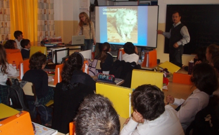 Alunos ajudam animais do Canil Municipal