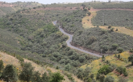 Município de Serpa melhora Estrada Municipal 514