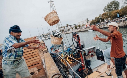 Trinta anos a virar sardinhas: o Festival abre hoje com a recriação da descarga da sardinha de manhã e Matias Damásio à noite