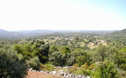 Serra de São Brás de Alportel começa hoje a ser vigiada pelo exército