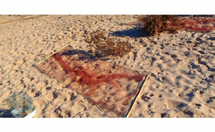 Polícia Marítima de Lagos apreende armadilhas para pássaros