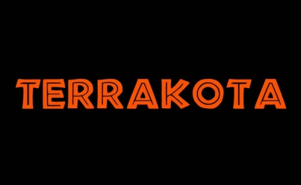 Grupo Terrakota aquece noite aljustrelense com explosão de ritmos