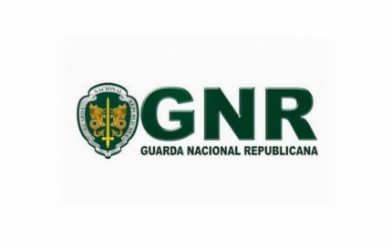 GNR inicia hoje operação para fiscalizar transporte de mercadorias perigosas