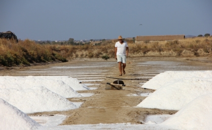 Sal - Ouro branco de Castro Marim inspira projetos e candidaturas