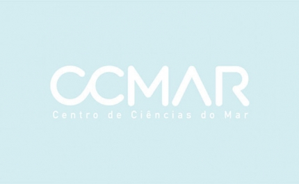 Estudo recorre a redes sociais e descobre duas espécies de cetáceos nunca descritas no Algarve