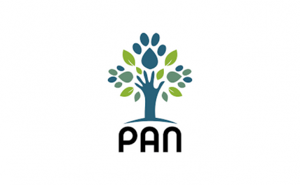 PAN | Recomenda a instalação de um centro de testes gratuitos ao vírus Covid-19 no Concelho de Faro
