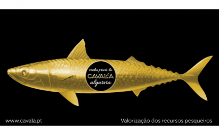 AÇÃO PROMOVE A CAVALA ALGARVIA
