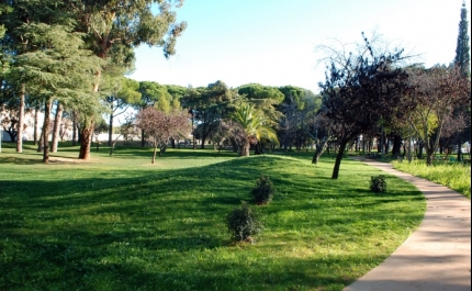 PODA DE ÁRVORES NO PARQUE MUNICIPAL DE LOULÉ