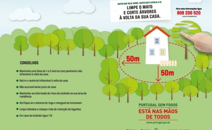 Limpeza de terrenos rurais obrigatória até 15 de março