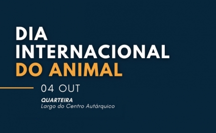 Dia Internacional do Animal assinalado em Quarteira