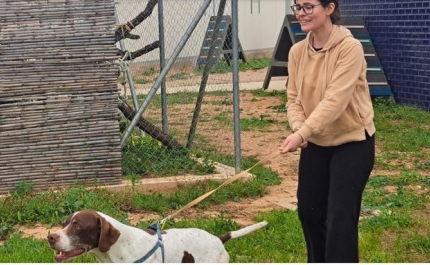 Cãominhada promove bem-estar e solidariedade em Olhão