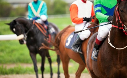Governo aprova entidade para a organização de corridas de cavalos