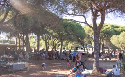 Ecofest 2019 leva milhares ao Parque Natural da Ria Formosa