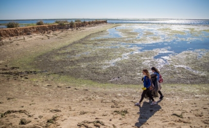 Estudantes de Olhão limpam salinas da zona poente da cidade