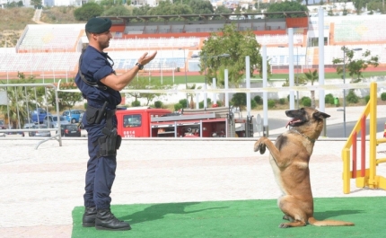 OPTO – FÓRUM DE EDUCAÇÃO E FORMAÇÃO DO ALGARVE ARRANCA NO INÍCIO DE MAIO    