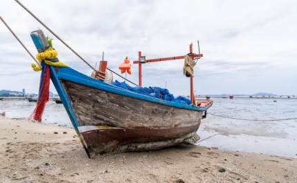 Armadores algarvios queixam-se de falta de formação para pescadores e de mão-de-obra