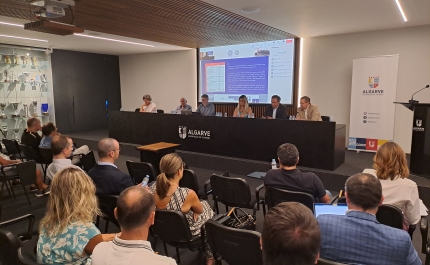 Associação de Futebol do Algarve | Orçamento, Plano de Atividades e Regulamentos aprovados por unanimidade
