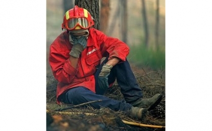 Portimão ativa destacamento para incêndios florestais na área mais vulnerável do concelho