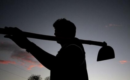 Governo altera regime da pagamentos base para jovens agricultores e pequena agricultura