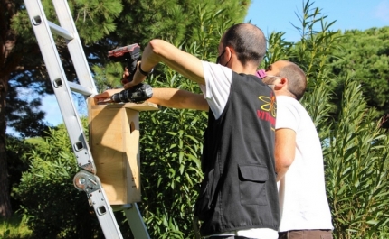 Castro Marim instala Caixas-Ninho para promover avifauna no território