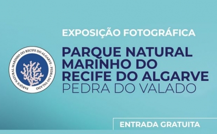 EXPOSIÇÃO «PARQUE NATURAL MARINHO DO RECIFE DO ALGARVE - PEDRA DO VALADO» EM DESTAQUE NA BIBLIOTECA MUNICIPAL DE SILVES