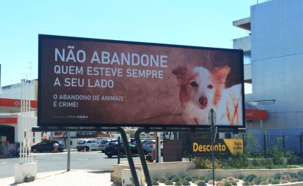 Município de Olhão lança campanha contra abandono de animais de companhia nas férias