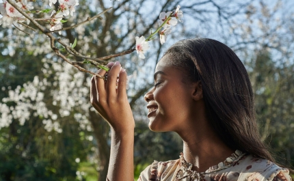 ALGARVE REGISTA CRESCIMENTO DE 1,2% NOS PROVEITOS DO ALOJAMENTO TURÍSTICO EM JANEIRO