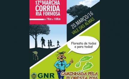 Caminhada pela floresta 2016