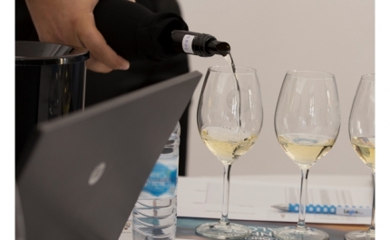 O Vinho Dona Niza de Lagoa é o grande premiado do XIII Concurso dos Vinhos do Algarve