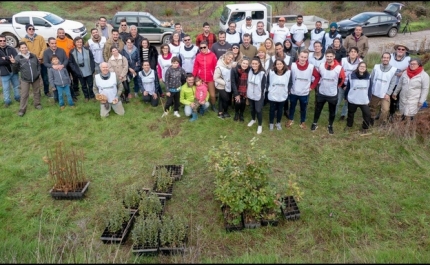 VOLUNTÁRIOS PLANTAM DUAS MIL ÁRVORES NA SERRA DE MONCHIQUE