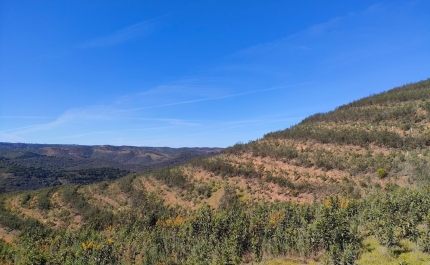 PLANTAR ÁGUA 2023 EXPANDE RESTAURO NA SERRA DO CALDEIRÃO
