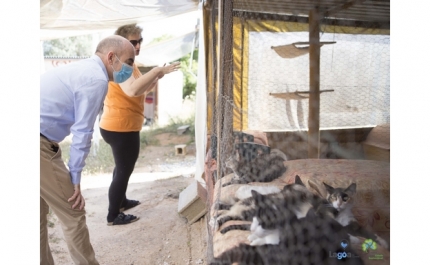 Município de Lagoa apoia associações de proteção animal