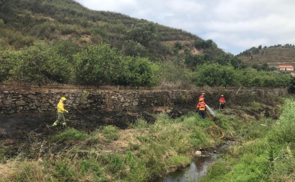 Meios pré-posicionados na Senhora do Verde resolvem incêndio na zona do Moinho da Rocha em 20 minutos