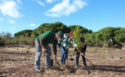 Verdelago comemorou Dia da Floresta Autóctone com plantação de 200 árvores