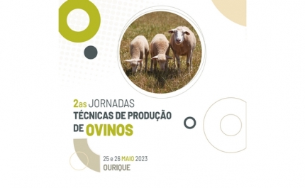 Ourique volta a receber as 2as Jornadas Técnicas de Produção de Ovinos