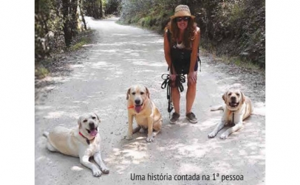 Helena Villa de Brito apresenta a sua primeira obra  Vencer o cancro. Como (con)viver com o Mieloma Múltiplo 