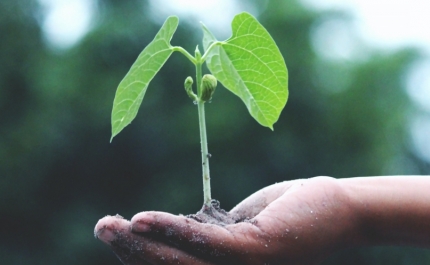 UAlg organiza 22.º Encontro Nacional de Ecologia