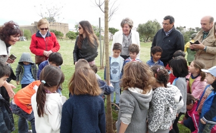 Dia Mundial da Árvore assinalado em Lagos