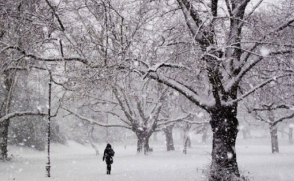 Possível queda de neve em Monchique durante o fim-de-semana