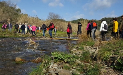 Amendoeiras em Flor reúnem cerca de 500 participantes em passeio pedestre 