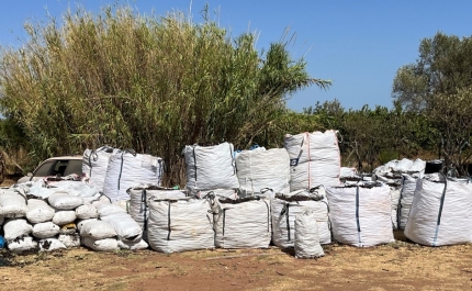 Apreensão de cerca de 15 mil quilos de alfarroba em Castro Marim