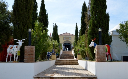 Terra de Maio promove sabores e saberes de Castro Marim